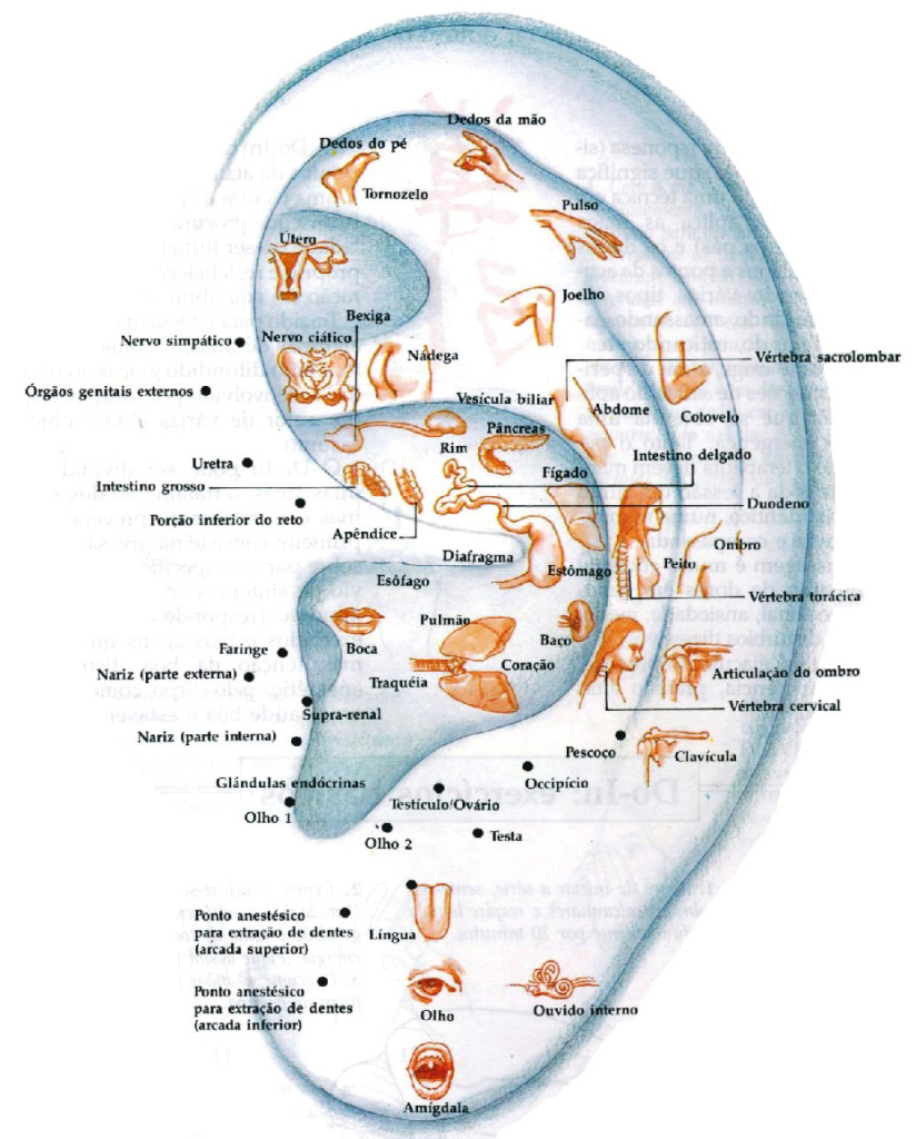 auriculoterapia_curitiba_mapa