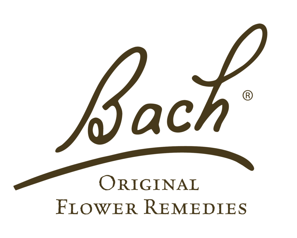 floral_curitiba2_bach